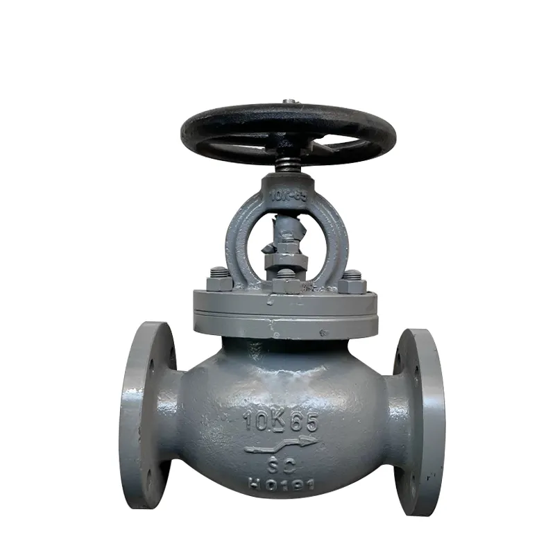 Vanne à vanne à bride JIS en fonte marine2