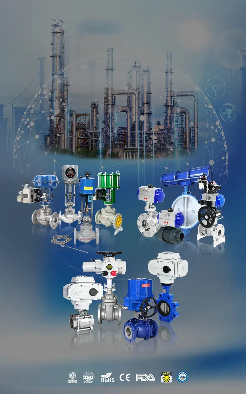 https://fr.delcovalves.com/wp-content/uploads/2026/01/首页网页1.webp